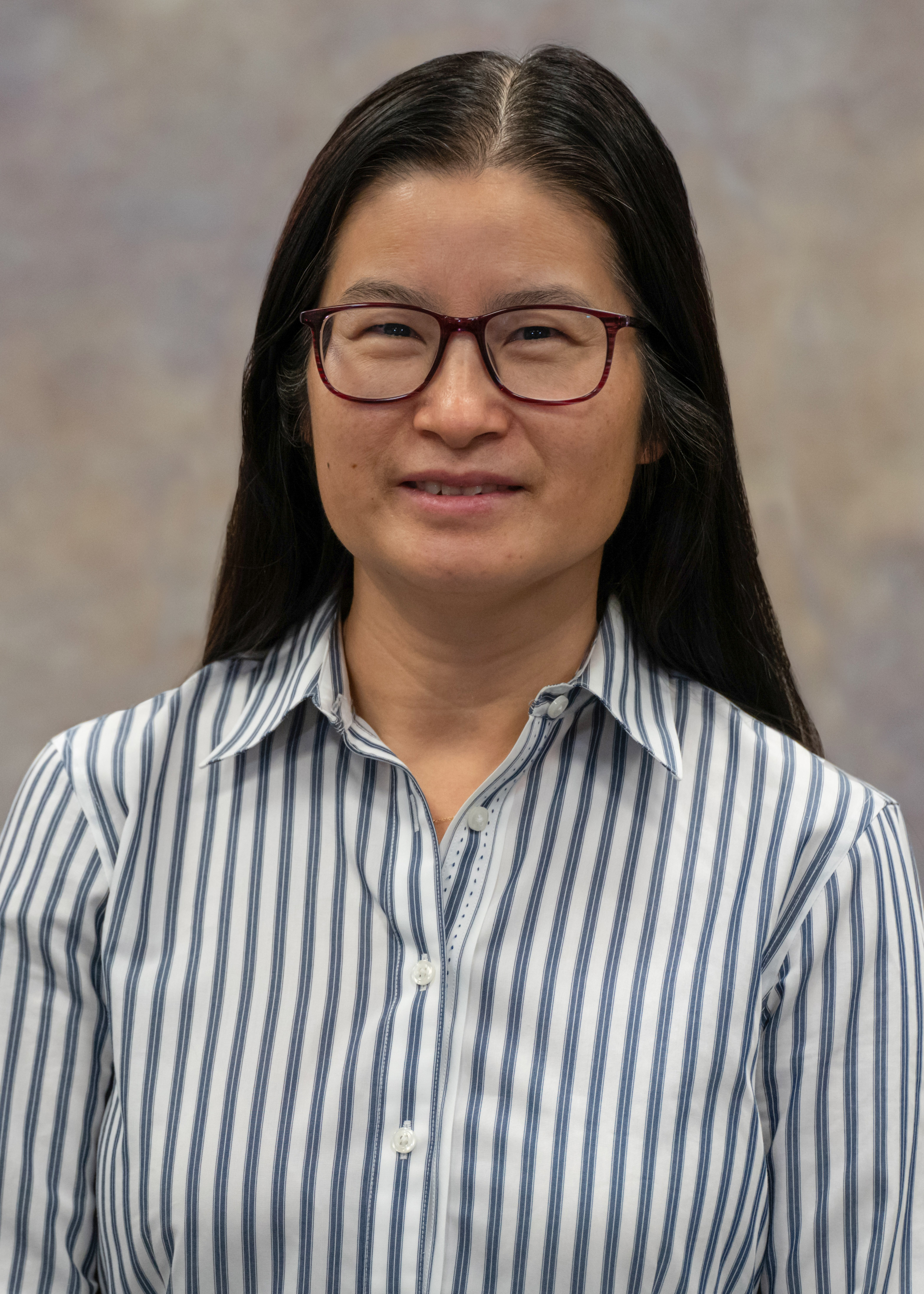 Dr. Hongmei Luo 
