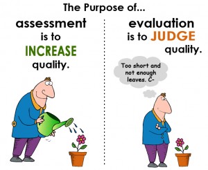 assessment_img.jpg